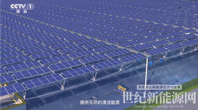 通威品牌價值1610.58億元！蟬聯全球水產和光伏兩大行業第一