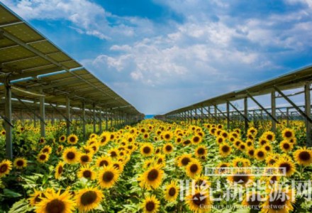隆基綠能：創(chuàng)新只有進行時，沒有完成時