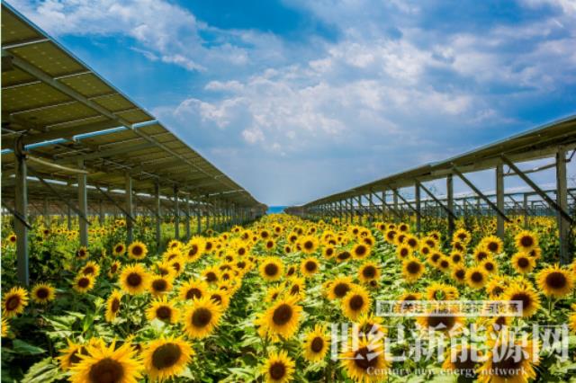 隆基綠能：創(chuàng)新只有進(jìn)行時(shí)，沒(méi)有完成時(shí)