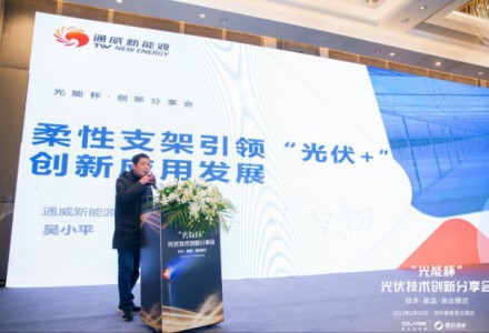 吳小平：柔性支架電站意外捕捉到“增發”