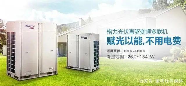 董小姐將翻盤？年賺29億，新能源打法升級