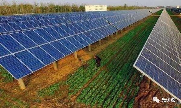 農業(yè)搭配光伏并非炒概念，四大模式足見發(fā)展前景大好