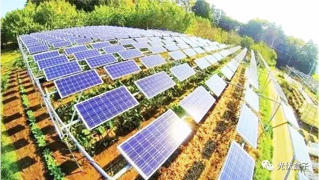 商機 | 光伏發電+特色農業+就業，一塊地居然有3份收入！