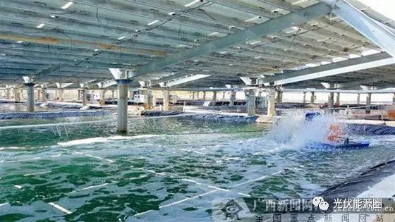 廣西首個(gè)海水漁光互補(bǔ)光伏電站并網(wǎng)發(fā)電