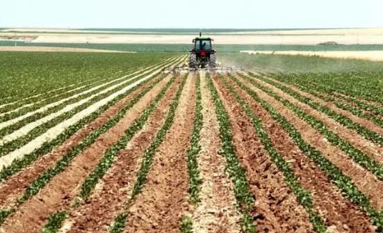 農村傍上光伏前景真的好？