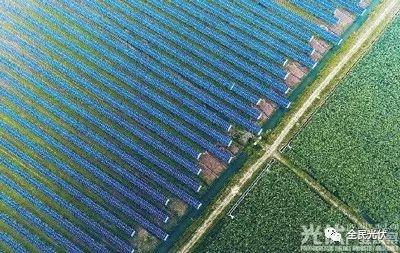 光伏+稻魚(yú)蟹演繹農(nóng)業(yè)新生態(tài)