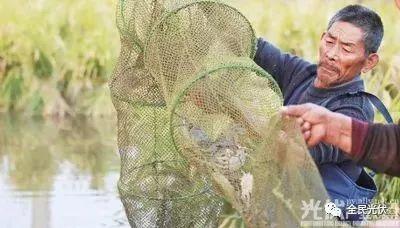 光伏+稻魚(yú)蟹演繹農(nóng)業(yè)新生態(tài)