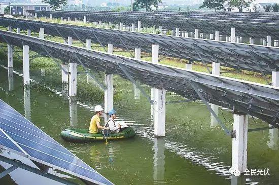光伏+稻魚(yú)蟹演繹農(nóng)業(yè)新生態(tài)