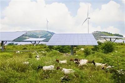 聚焦 | “光伏+農(nóng)業(yè)=賺錢！！”這是一個被業(yè)界看好的光伏發(fā)展模式！