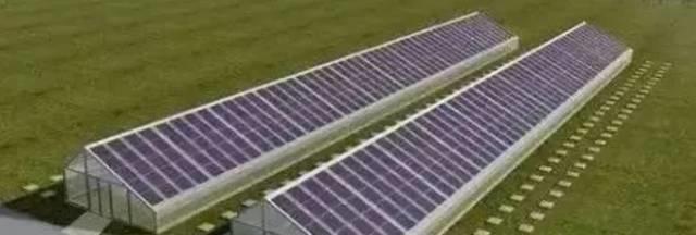 聚焦 | “光伏+農(nóng)業(yè)=賺錢！！”這是一個被業(yè)界看好的光伏發(fā)展模式！