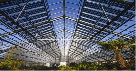 聚焦 | “光伏+農(nóng)業(yè)=賺錢！！”這是一個被業(yè)界看好的光伏發(fā)展模式！