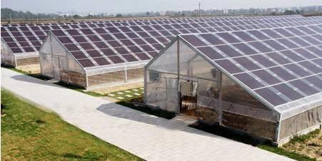 聚焦 | “光伏+農(nóng)業(yè)=賺錢！！”這是一個被業(yè)界看好的光伏發(fā)展模式！