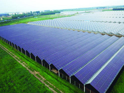 聚焦 | “光伏+農(nóng)業(yè)=賺錢！！”這是一個被業(yè)界看好的光伏發(fā)展模式！
