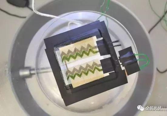 高能|英國科學家發明細菌太陽能電池，白天夜晚24小時供電