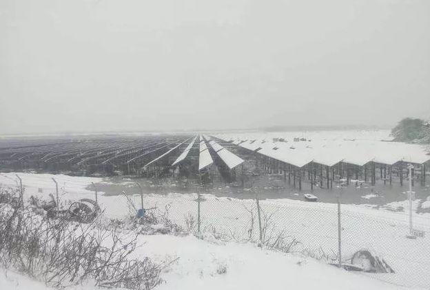 初雪辣么美！你家的光伏電池板還好嗎？