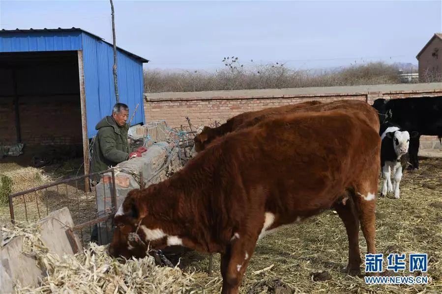 組圖 | “光伏村”的新生活