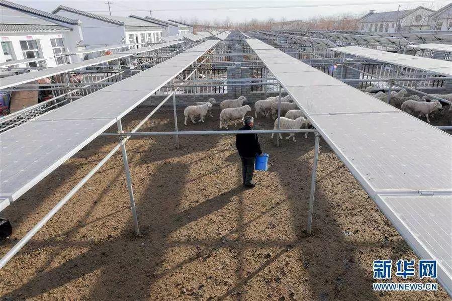 組圖 | “光伏村”的新生活