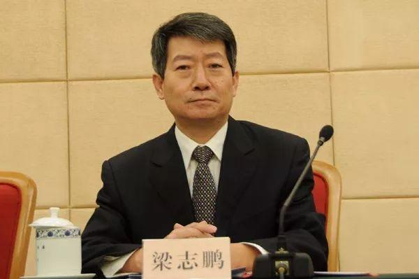 權威發布丨梁志鵬：我國光伏發電量達1182億千瓦時，成同比增長最快的可再生能源