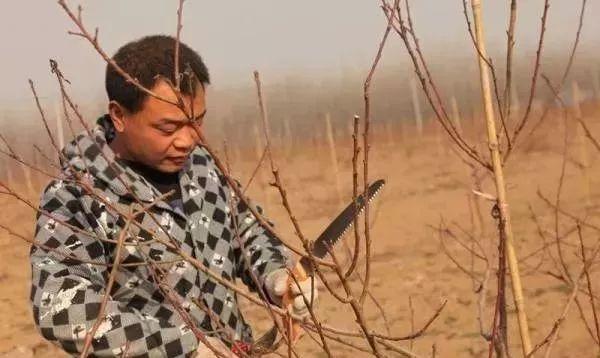 光伏發(fā)電帶領(lǐng)下的致富之路，讓村民生活變得更美更甜！