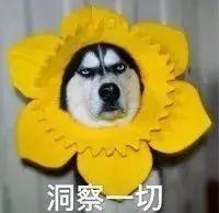 收益 | 這一年靠它賺了12000元！全國(guó)近60萬(wàn)家庭享受這份收益！