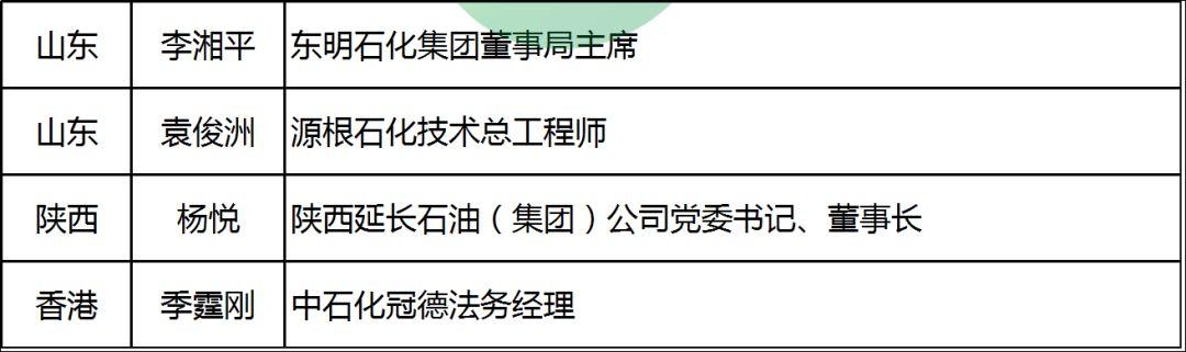 陳康平、劉漢元、曹仁賢等96位！最全兩會能源代表名錄:光伏3、電力59、油氣22、煤炭12……肯定有你認識的！
