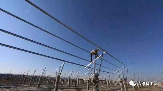 央視揭秘 | 能種能養，能發電；從空中到地面，一塊地賺幾份錢……