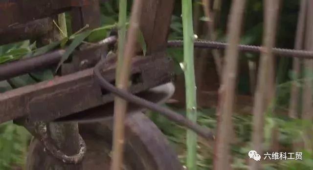 央視揭秘 | 能種能養，能發電；從空中到地面，一塊地賺幾份錢……