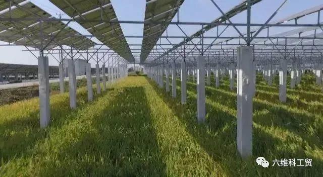 央視揭秘 | 能種能養，能發電；從空中到地面，一塊地賺幾份錢……