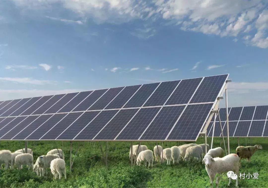光伏+蟹、雞、魚、羊、菜…光伏板下的農(nóng)場(chǎng)由此誕生！