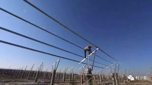 光伏+蟹、雞、魚、羊、菜…光伏板下的農(nóng)場(chǎng)由此誕生！