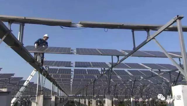 光伏+蟹、雞、魚、羊、菜…光伏板下的農(nóng)場(chǎng)由此誕生！