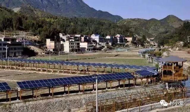 光伏+蟹、雞、魚、羊、菜…光伏板下的農(nóng)場(chǎng)由此誕生！