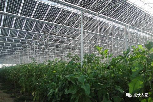 2018年哪些動力推助光伏發展？