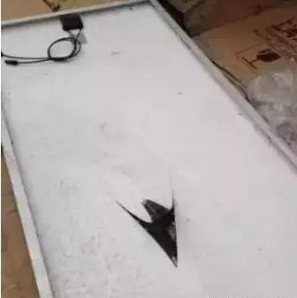 【市場釋疑】泱泱光伏市場如何選擇組件