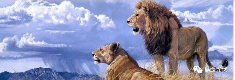 海潤光伏命途：千億帝王夢為何破滅？（萬字長文，慎入）