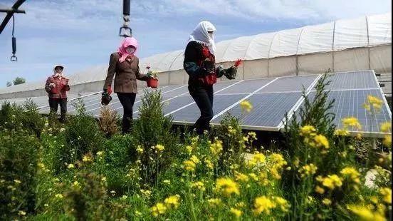 你沒見過的高顏值光伏+模式，時尚賺錢兩不誤