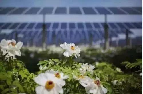 你沒見過的高顏值光伏+模式，時尚賺錢兩不誤