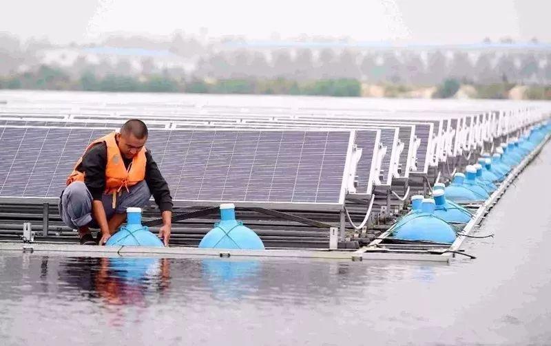這樣養魚，可以有雙倍收入！