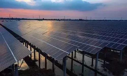 這樣養魚，可以有雙倍收入！