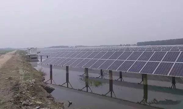 這樣養魚，可以有雙倍收入！