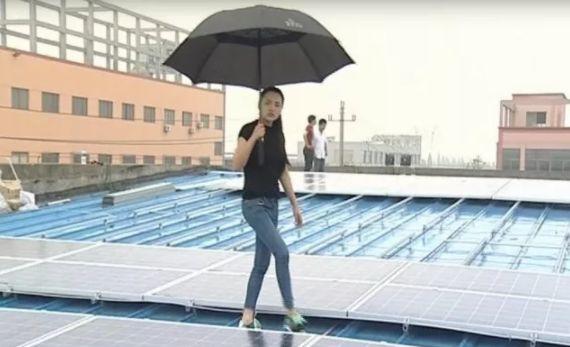 80后姑娘種田，種出一個光伏企業