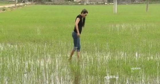 80后姑娘種田，種出一個光伏企業