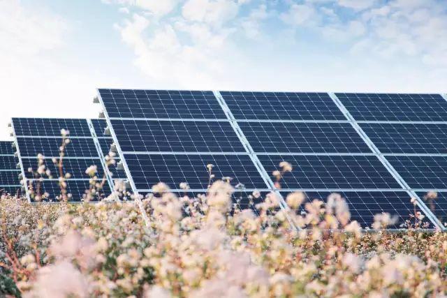 分布式光伏應有哪些政策支撐？取消補貼